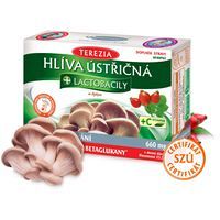 Terezia Hliva ustricová + lactobacily